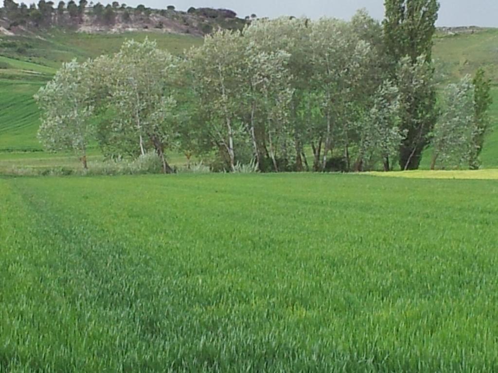 Hotel Rural San Pelayo Экстерьер фото